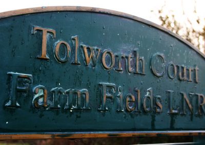 Tolworth Court Farm